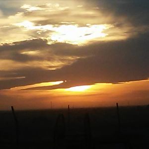 Meet your Posher, Tonie